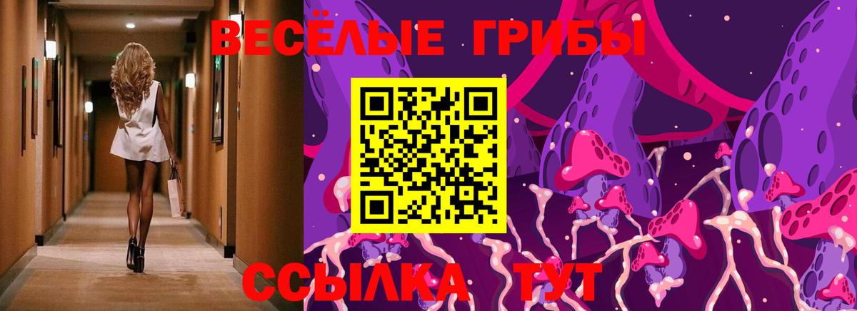 Комсомольск-на-Амуре  Псилоцибиновые грибы MAGIC MUSHROOMS  Вход с VPN 